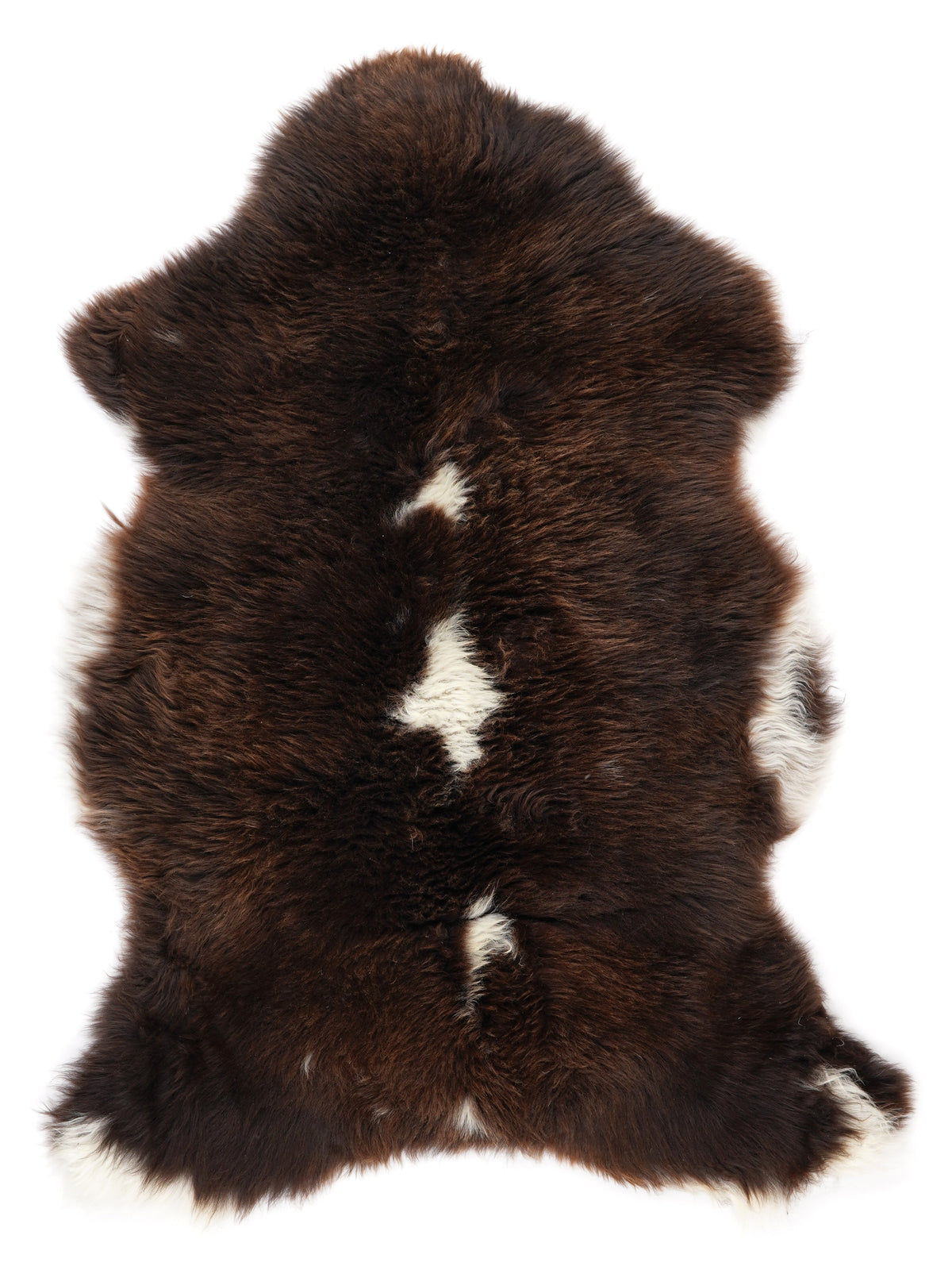 NF00090