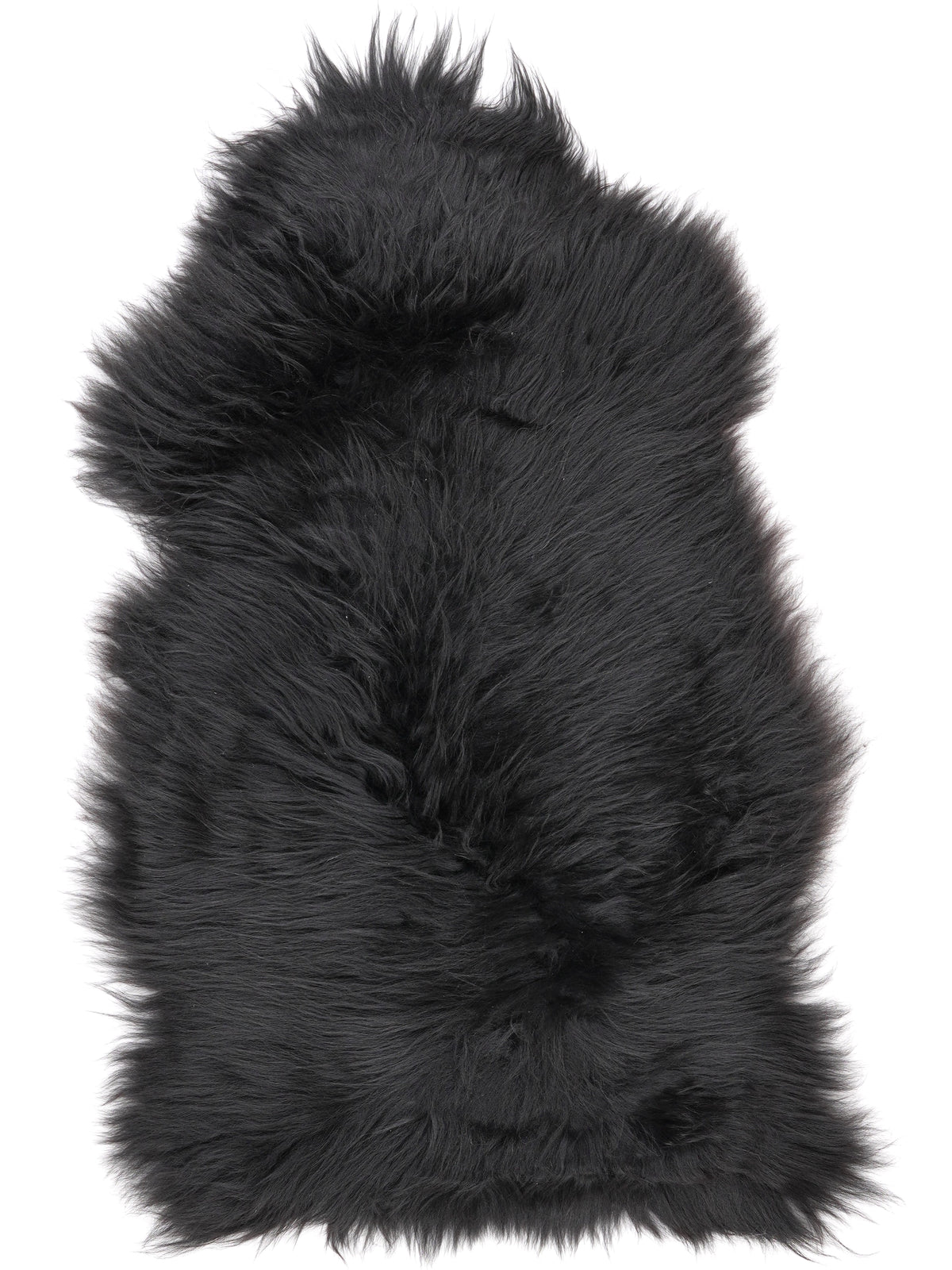 NM00012