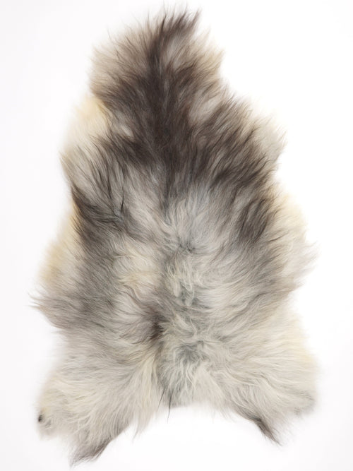 Peau de mouton islandaise XL