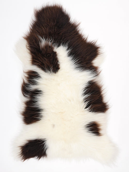 Peau de mouton multicolore XL