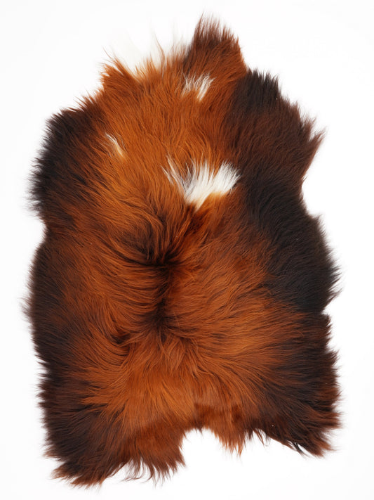 Peau de mouton islandaise XL