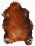 Peau de mouton islandaise XL