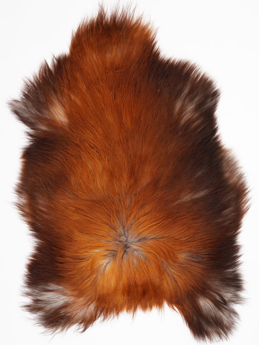 Peau de mouton islandaise XL
