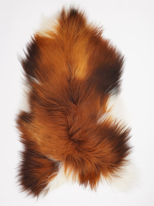 Peau de mouton islandaise XXL