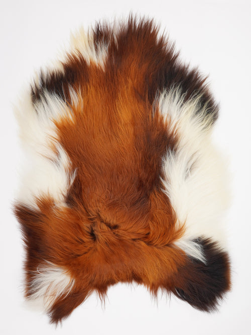 Peau de mouton islandaise XL