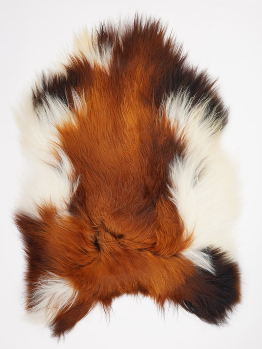 Peau de mouton islandaise XL