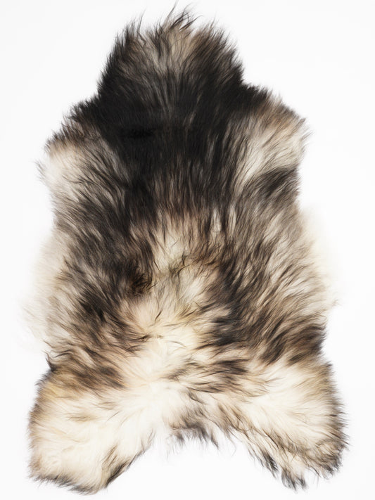 Peau de mouton islandaise XL
