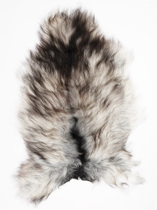 Peau de mouton islandaise XL