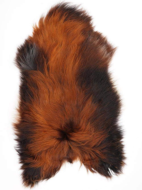 Peau de mouton islandaise XXL