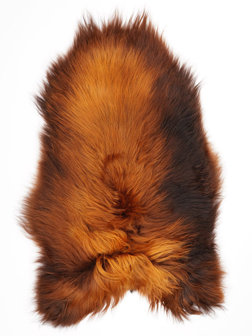 Peau de mouton islandaise XXL