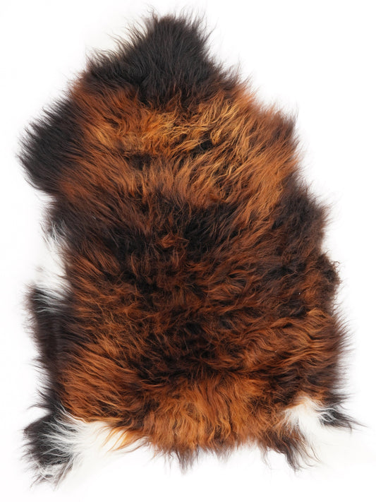 Peau de mouton islandaise M