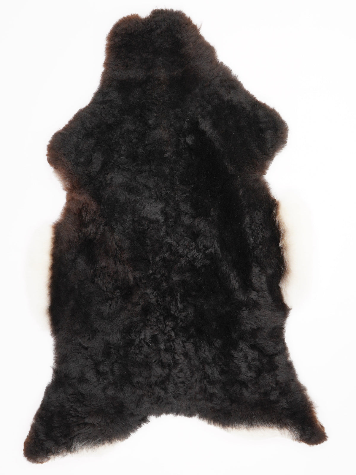 Peau de mouton multicolore L