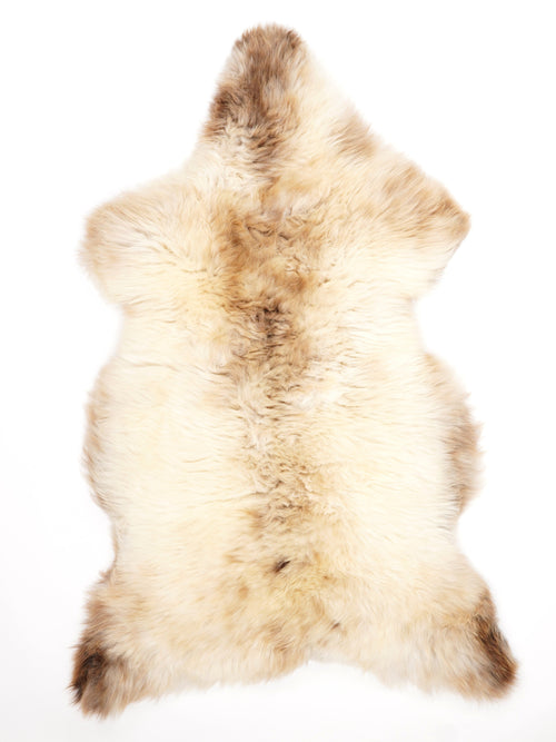 Peau de mouton multicolore XL