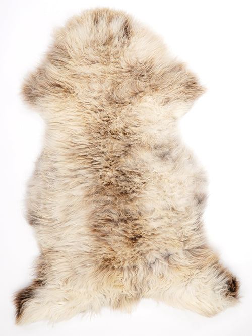 Peau de mouton multicolore XXL