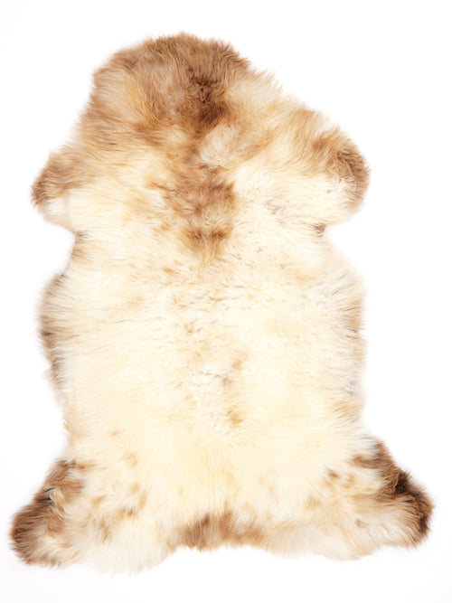 Peau de mouton multicolore XL
