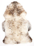 Peau de mouton multicolore XXL