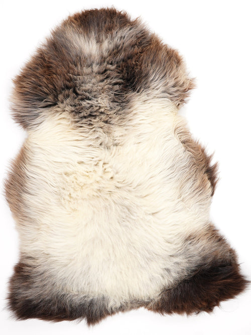 Peau de mouton multicolore XL