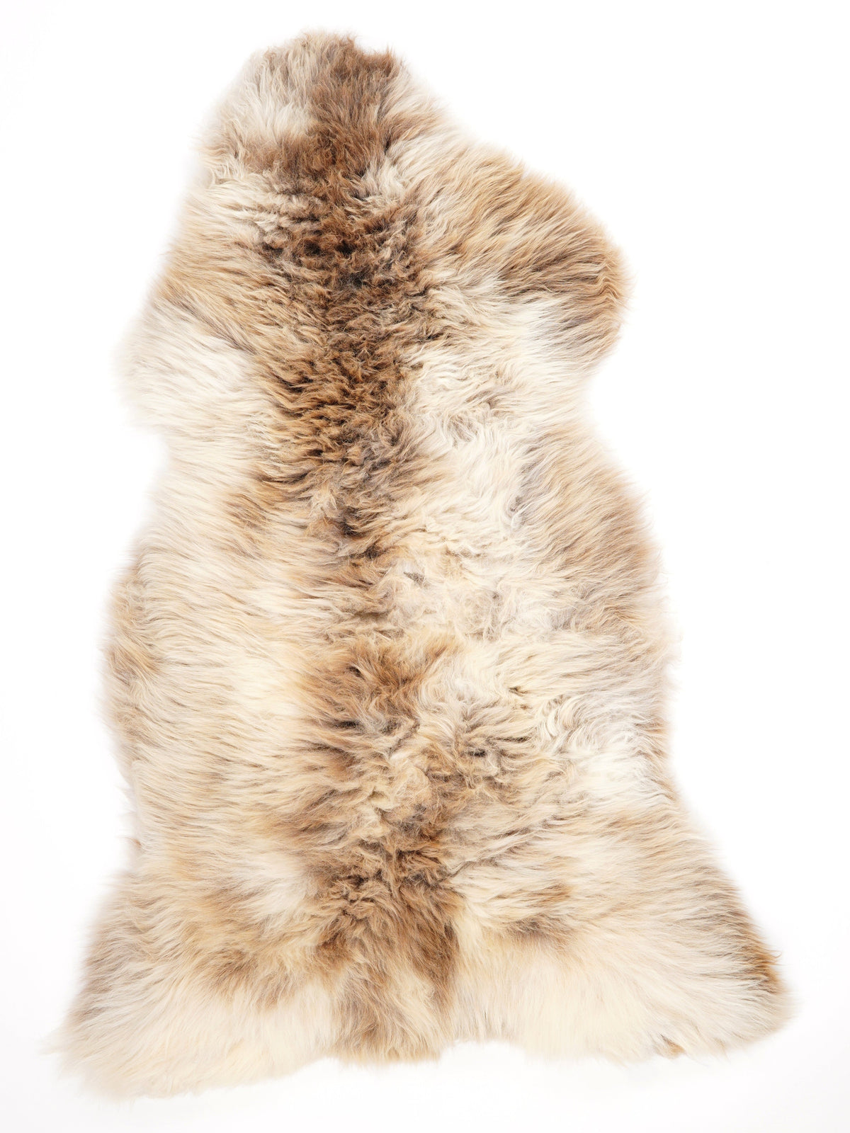 Peau de mouton multicolore XXL