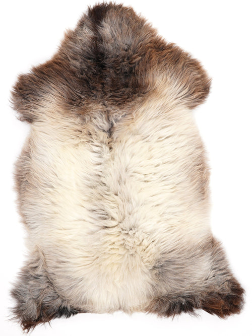 Peau de mouton multicolore XL