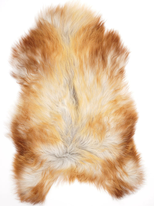 Peau de mouton islandaise XXL