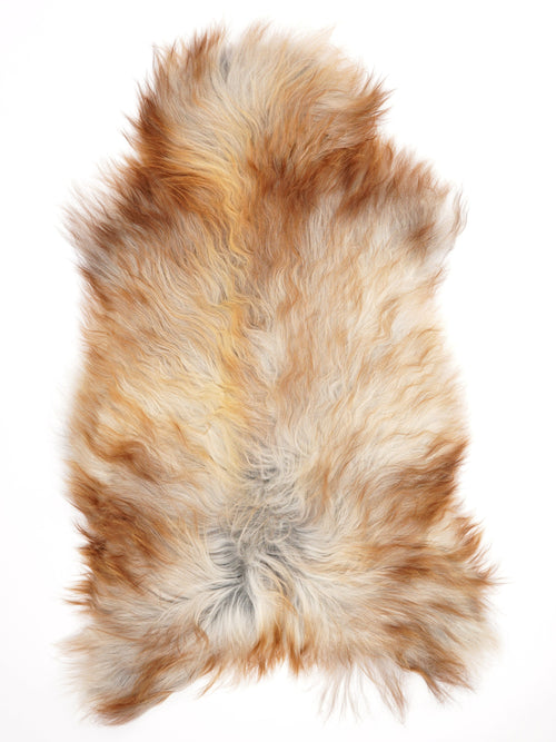 Peau de mouton islandaise XXL