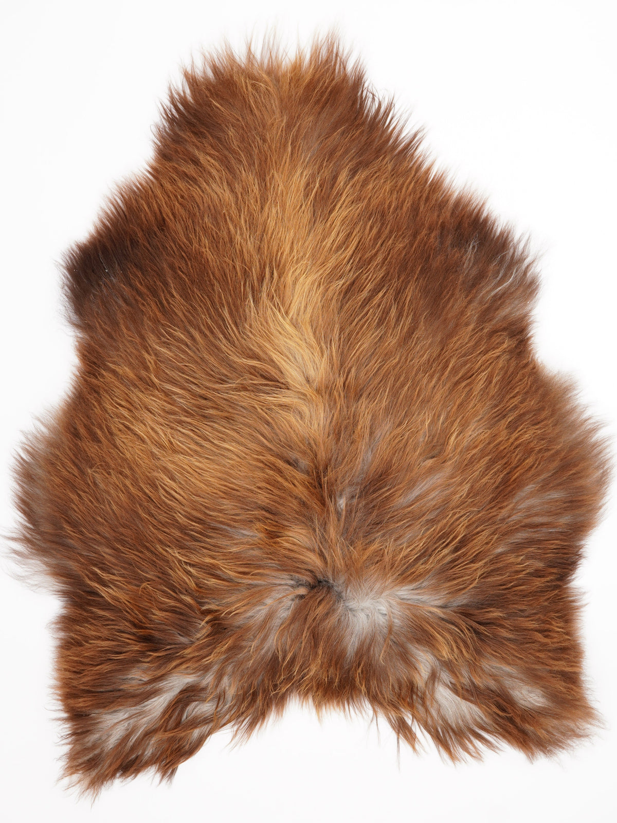 Peau de mouton islandaise XL