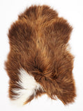 Peau de mouton islandaise XL