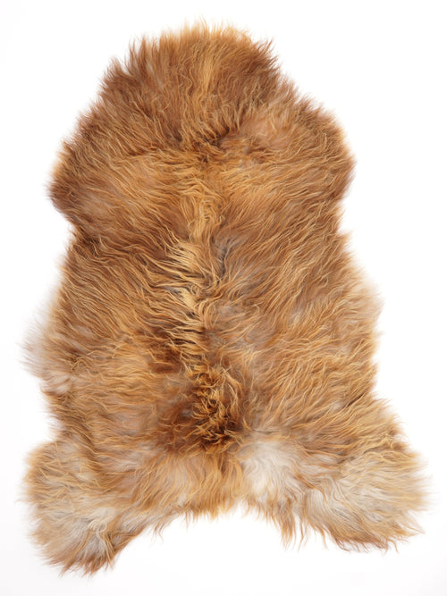 Peau de mouton islandaise XL
