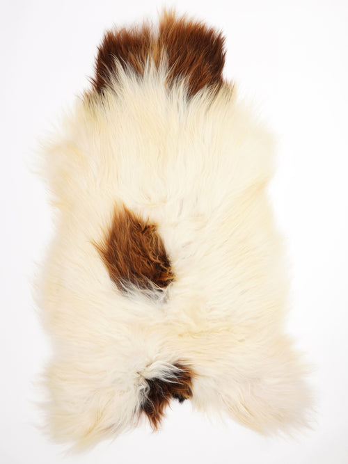 Peau de mouton islandaise XXL