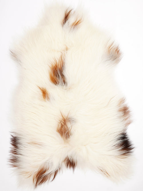 Peau de mouton islandaise XXL
