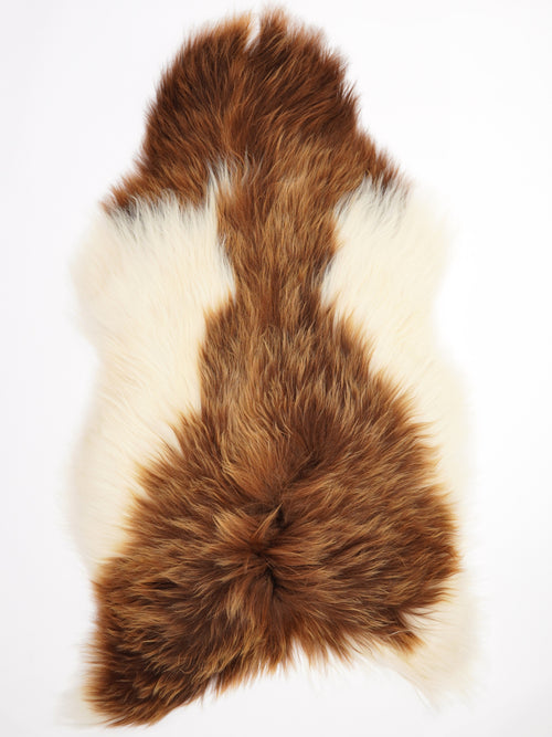 Peau de mouton islandaise XXL