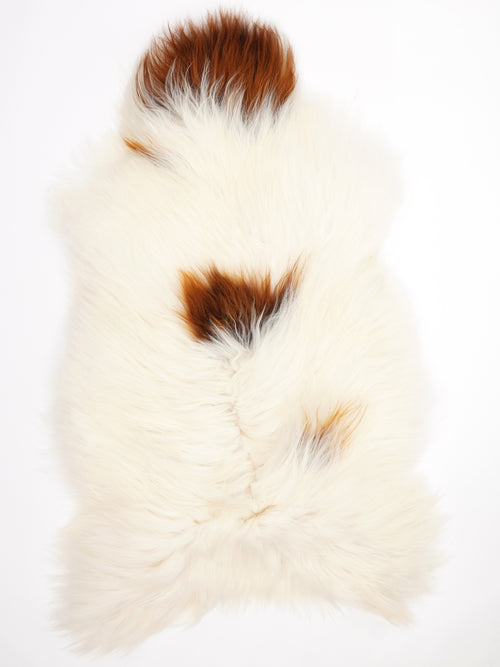 Peau de mouton islandaise XXL