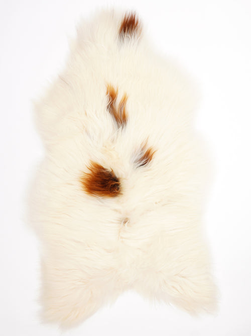 Peau de mouton islandaise XL