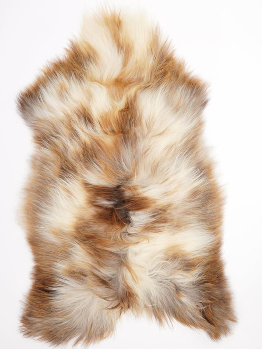 Peau de mouton islandaise XL