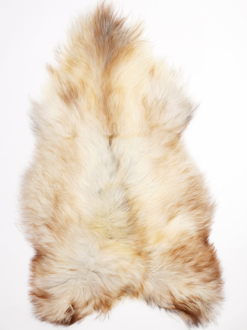 Peau de mouton islandaise XXL
