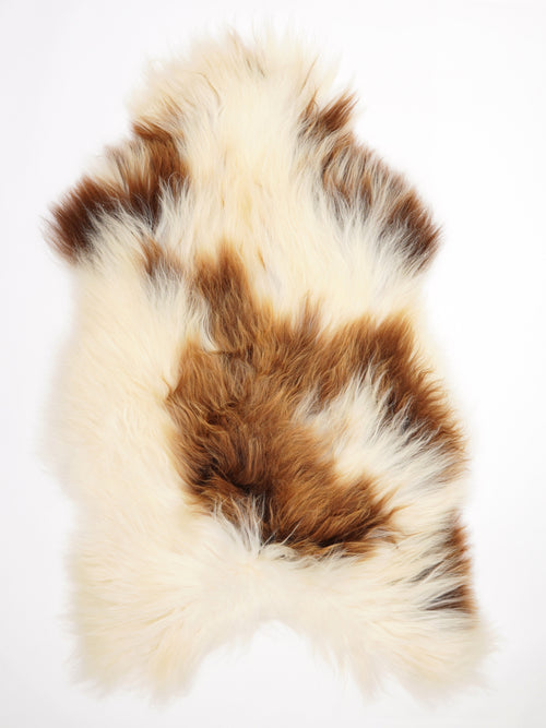 Peau de mouton islandaise XXXL