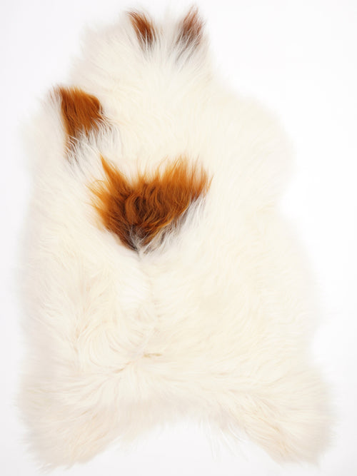 Peau de mouton islandaise XXL