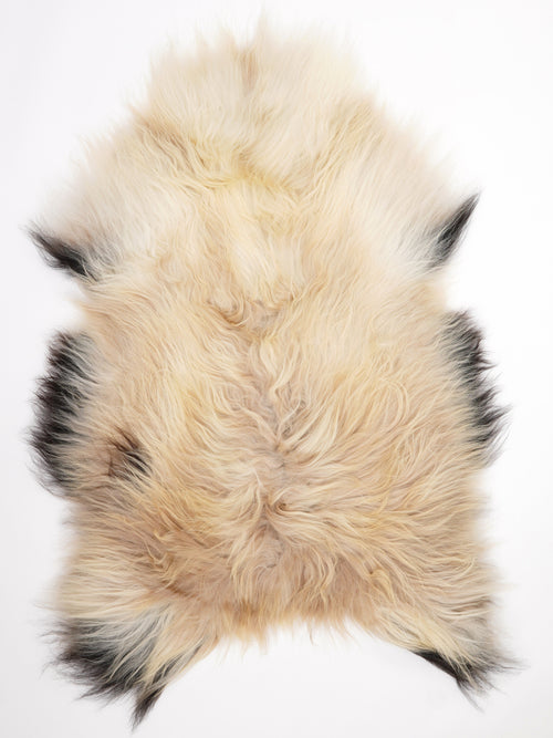 Peau de mouton islandaise XXL