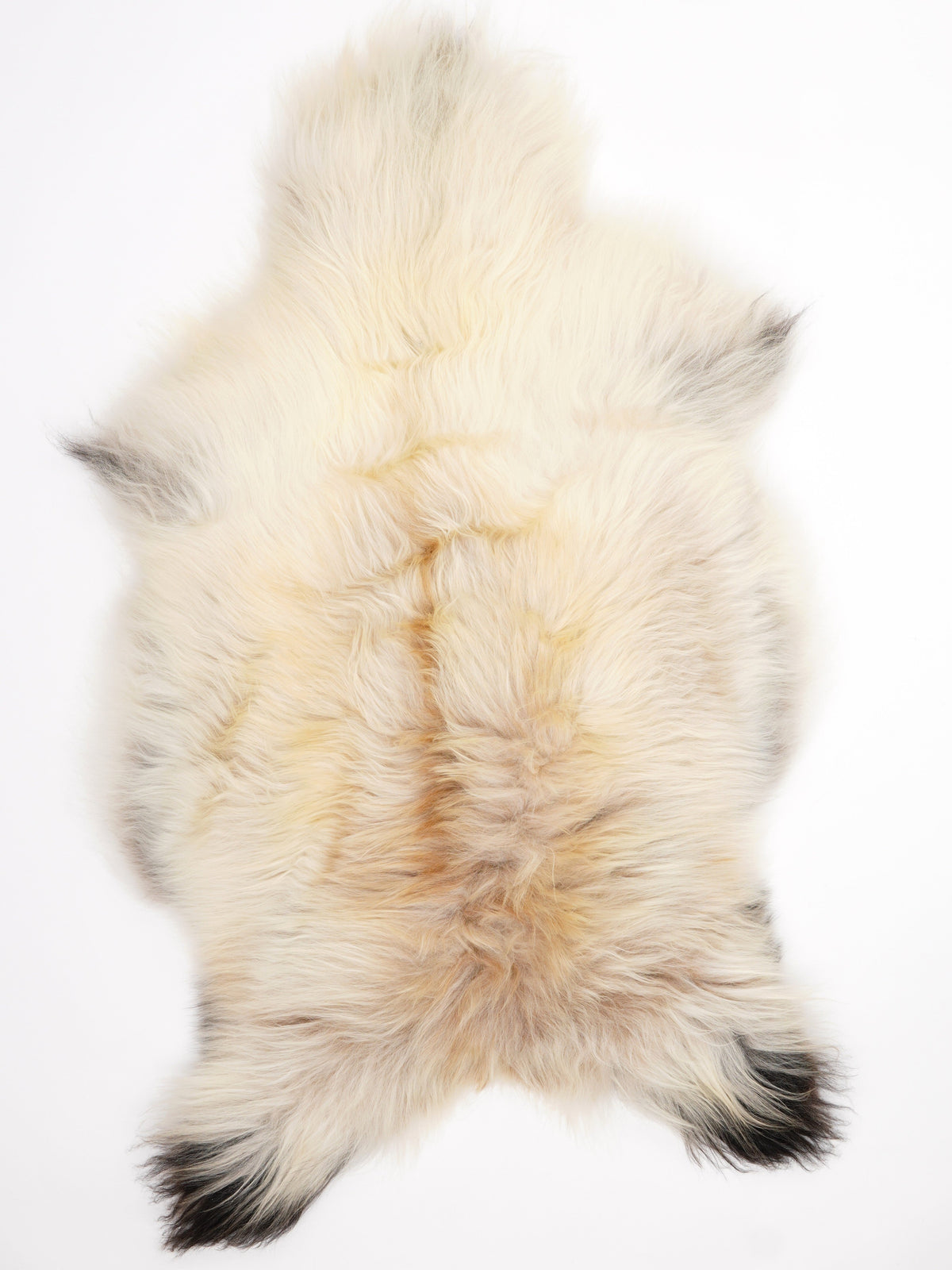 Peau de mouton islandaise XL
