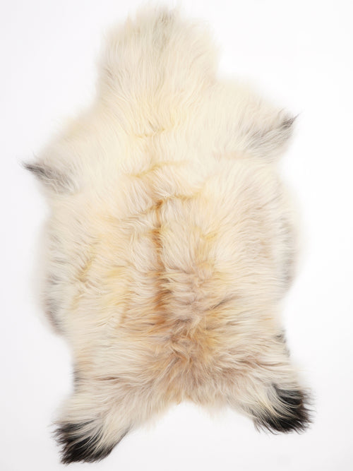 Peau de mouton islandaise XL