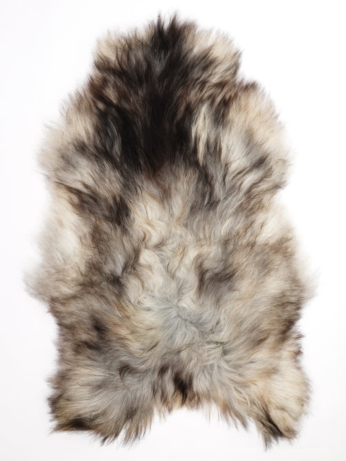 Peau de mouton islandaise XXXL