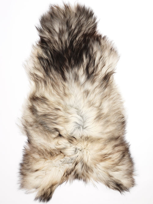 Peau de mouton islandaise XXL
