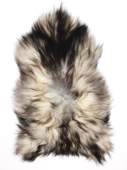 Peau de mouton islandaise XXL