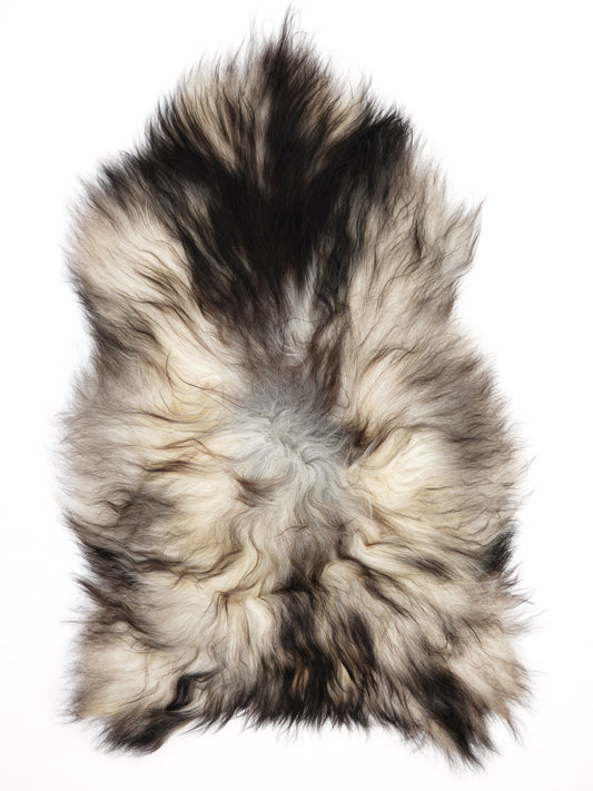 Peau de mouton islandaise XXL
