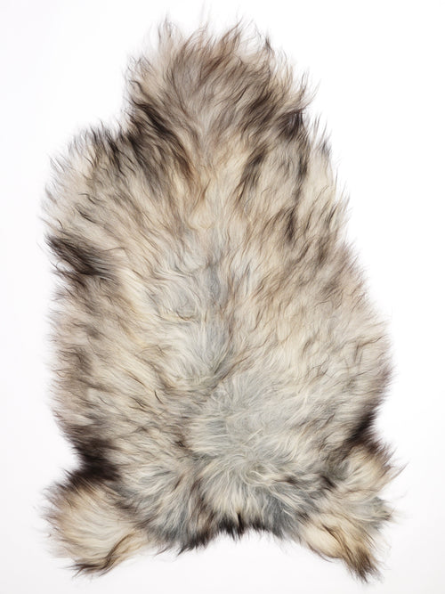 Peau de mouton islandaise XXL