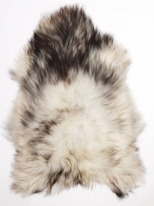 Peau de mouton islandaise XL