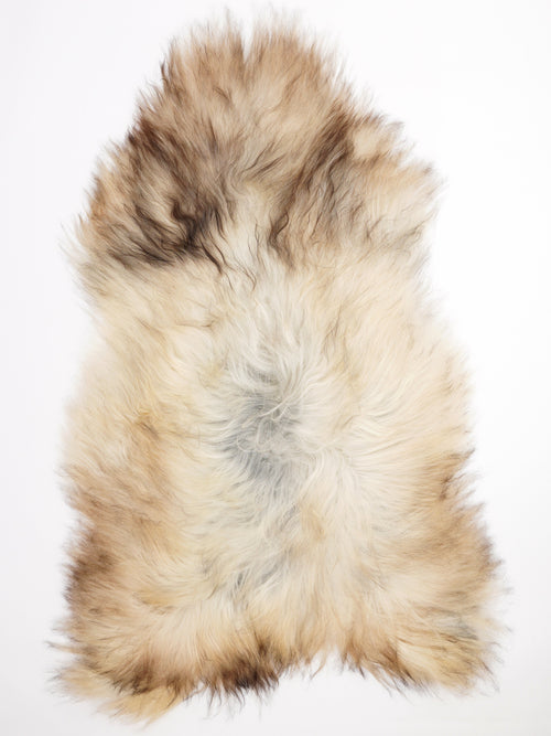 Peau de mouton islandaise XXL