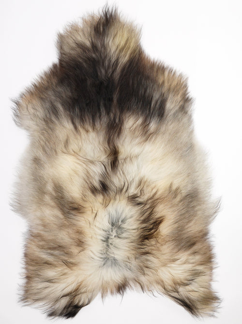 Peau de mouton islandaise XXL
