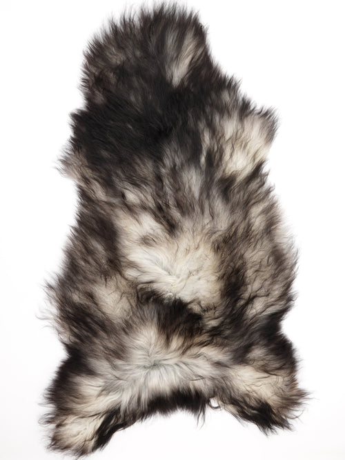 Peau de mouton islandaise XXXL