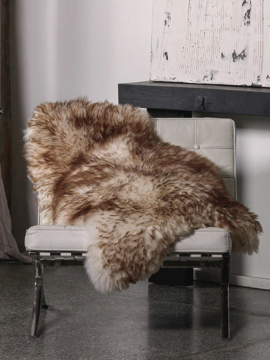 Peau de mouton mouflon